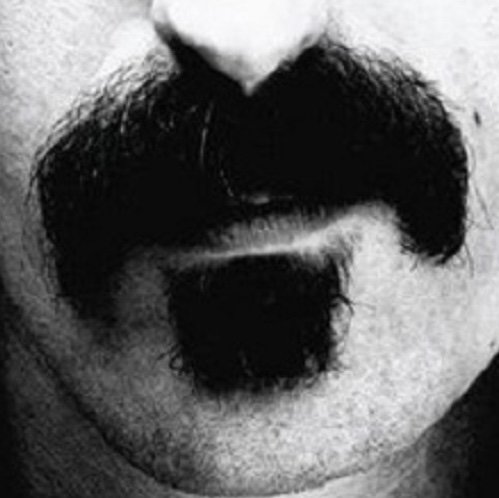 What's Zappa