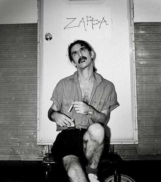 Frank Zappa citazione