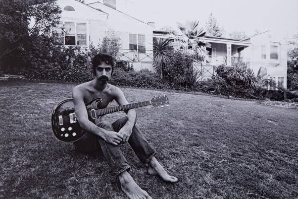 Frank Zappa e la Black Widow