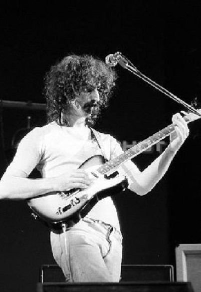 le chitarre di Frank Zappa