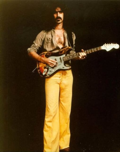 Frank Zappa citazione