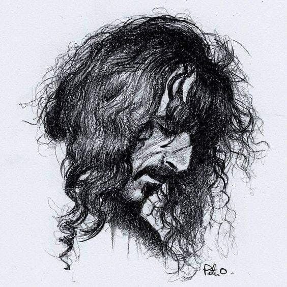 Frank Zappa ritratto disegno