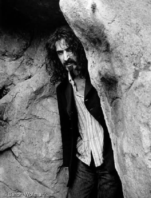 Frank Zappa citazione