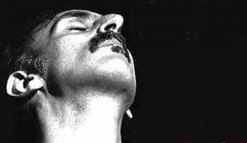 Frank Zappa citazione