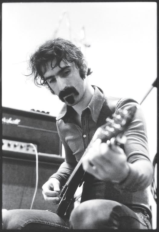 Frank Zappa citazione