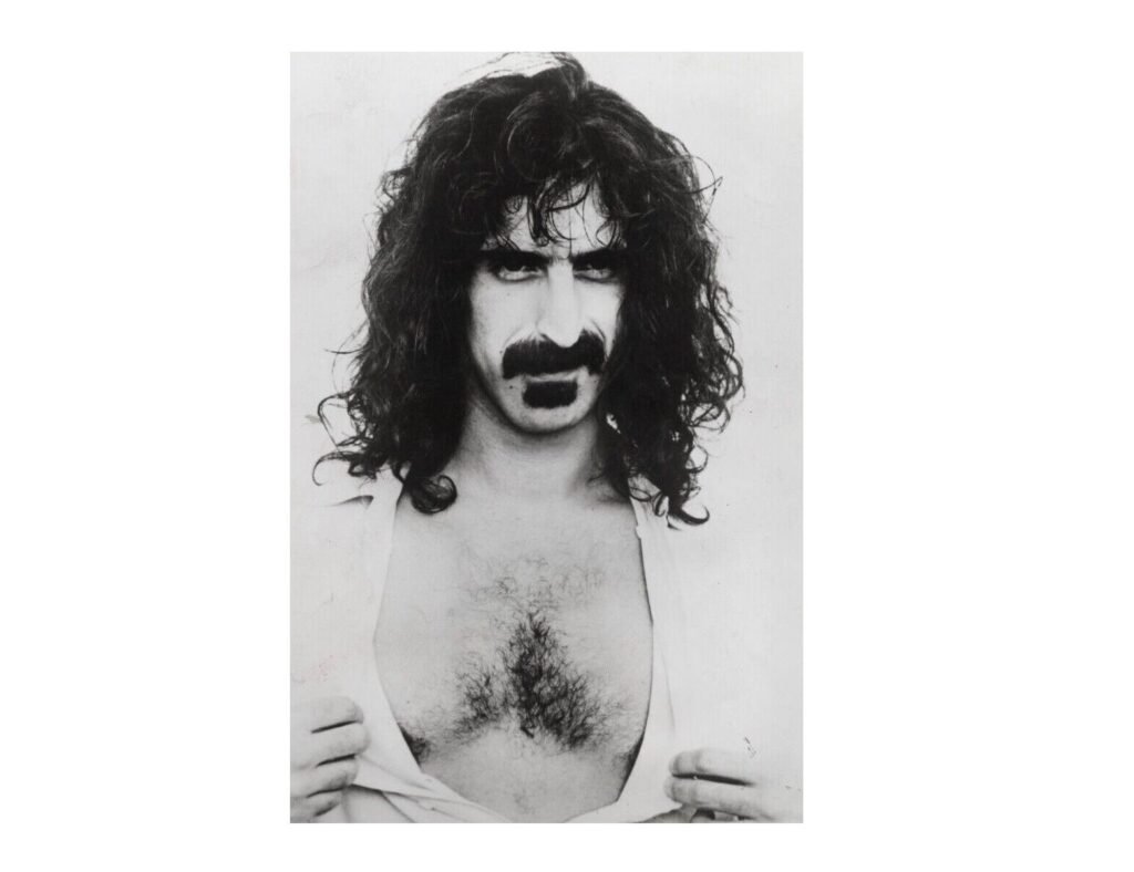 la peluria a forma di triangolo sul petto di Frank Zappa