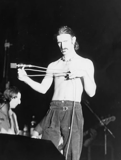 Il successo degli album di Frank Zappa