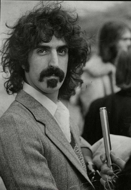 I baffi da tricheco con la mosca di Frank Zappa