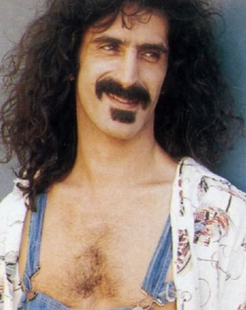 Frank Zappa citazione