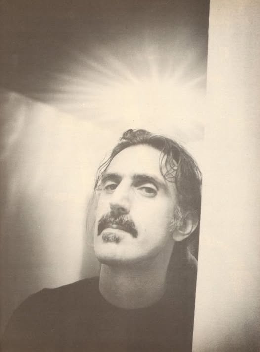 Frank Zappa notturno