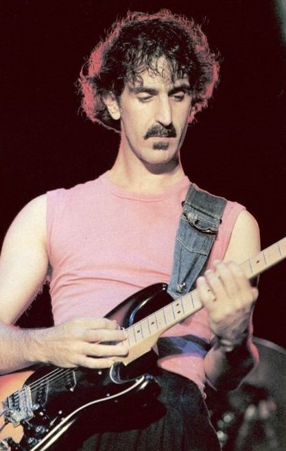 Frank Zappa sul campionamento