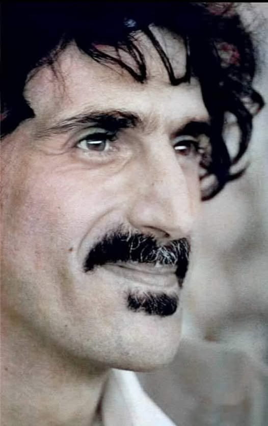 Frank Zappa citazione