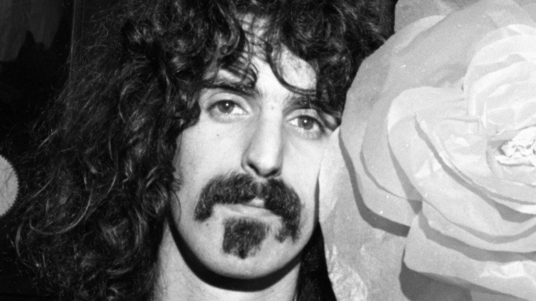 Frank Zappa sui musicisti
