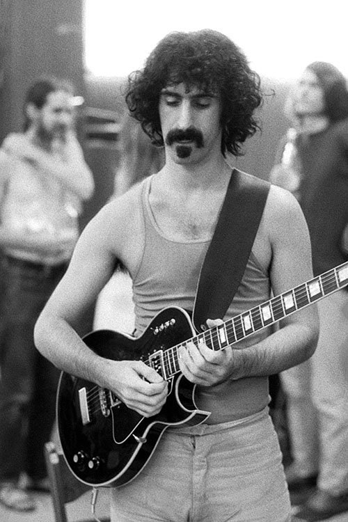 Frank Zappa citazione