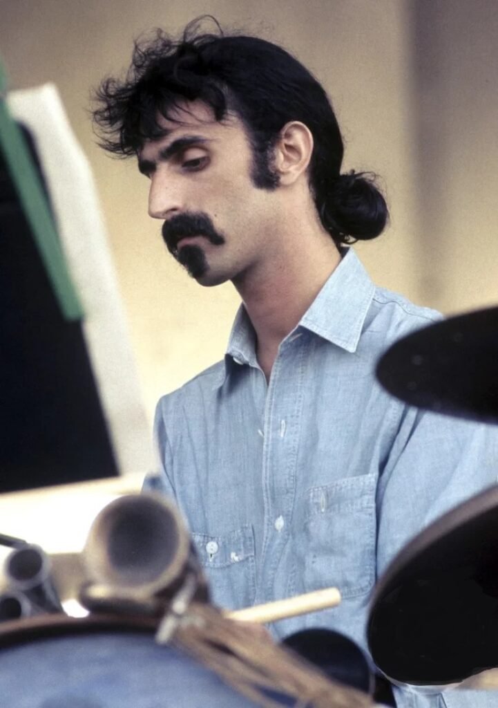 Frank Zappa e la concept art