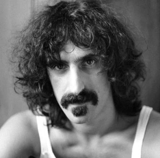 Frank Zappa e la genialità