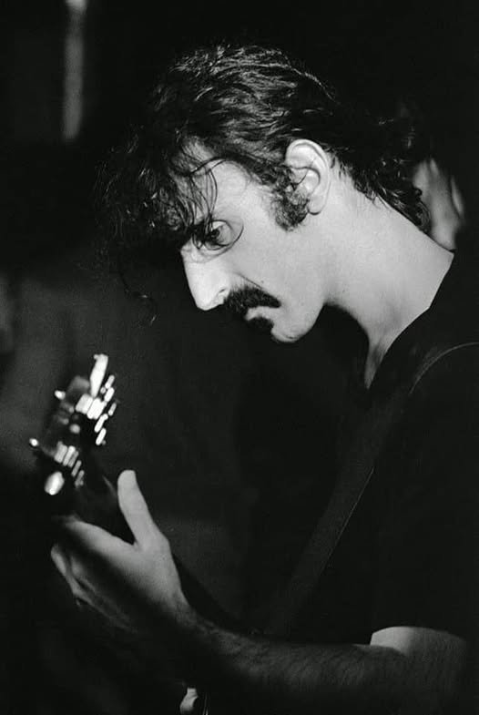 L'esperienza di Frank Zappa nella pubblicità