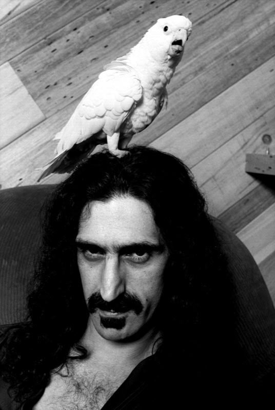 Frank Zappa e il cacatua Bird Reynolds