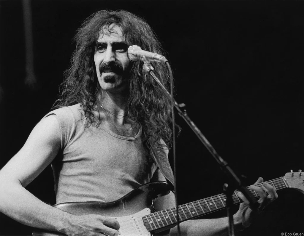 L'idea del successo per Frank Zappa