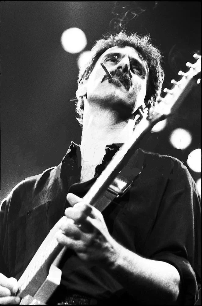 Le opere di Frank Zappa