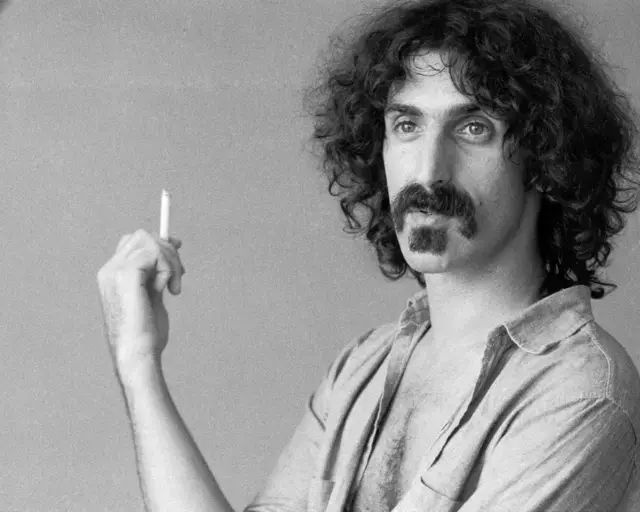 cosa cercava Frank Zappa dai musicisti