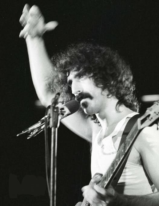 Essere amico di Frank Zappa