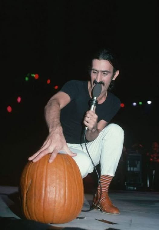 Frank Zappa e il pubblico nei live