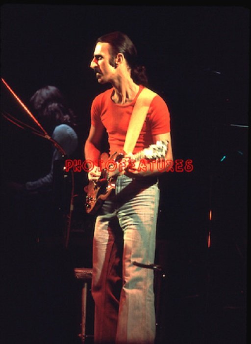 Frank Zappa sull'art-rock