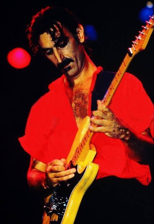 La Stratocaster di Frank Zappa